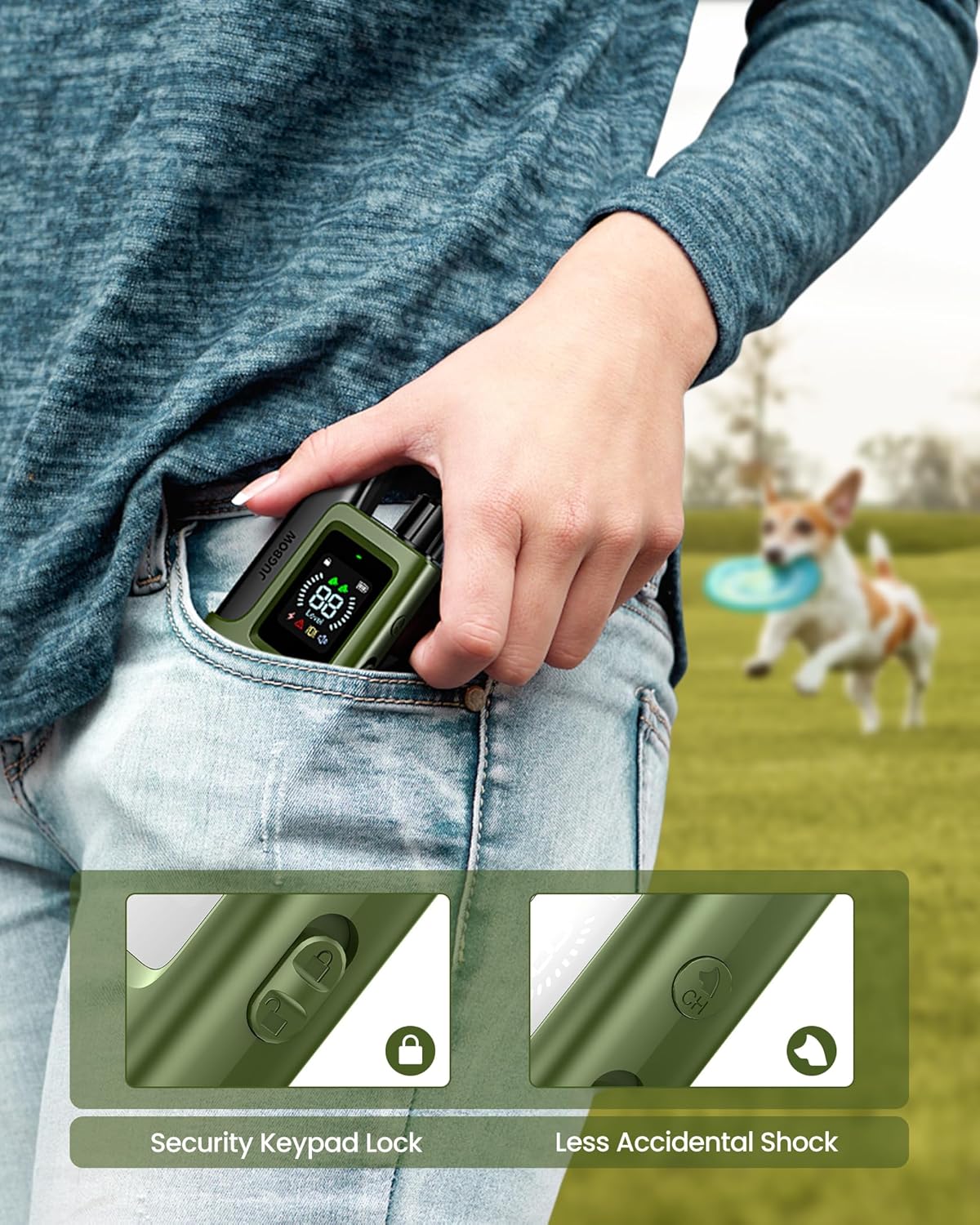 Dog Training Collar