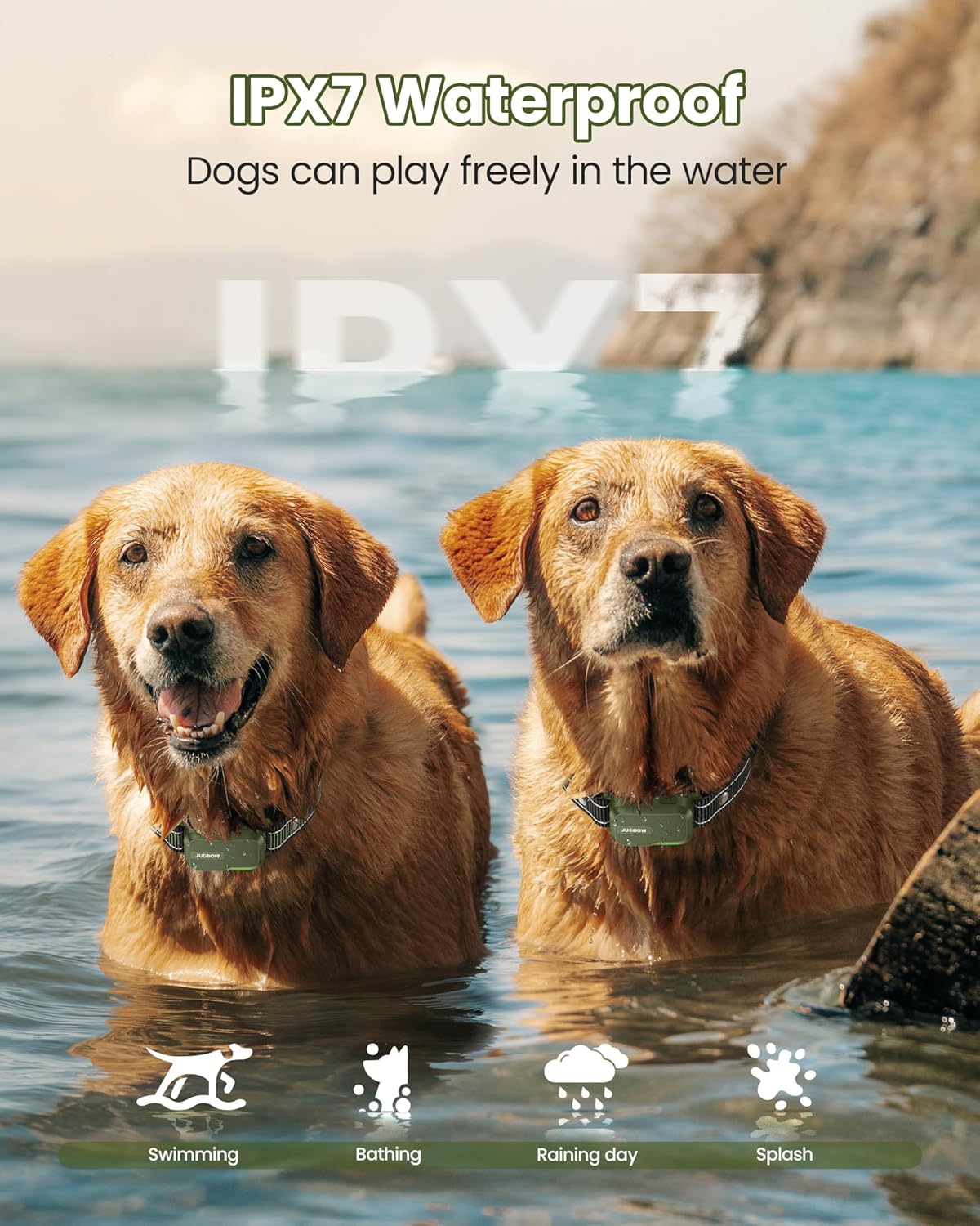 Dog Training Collar
